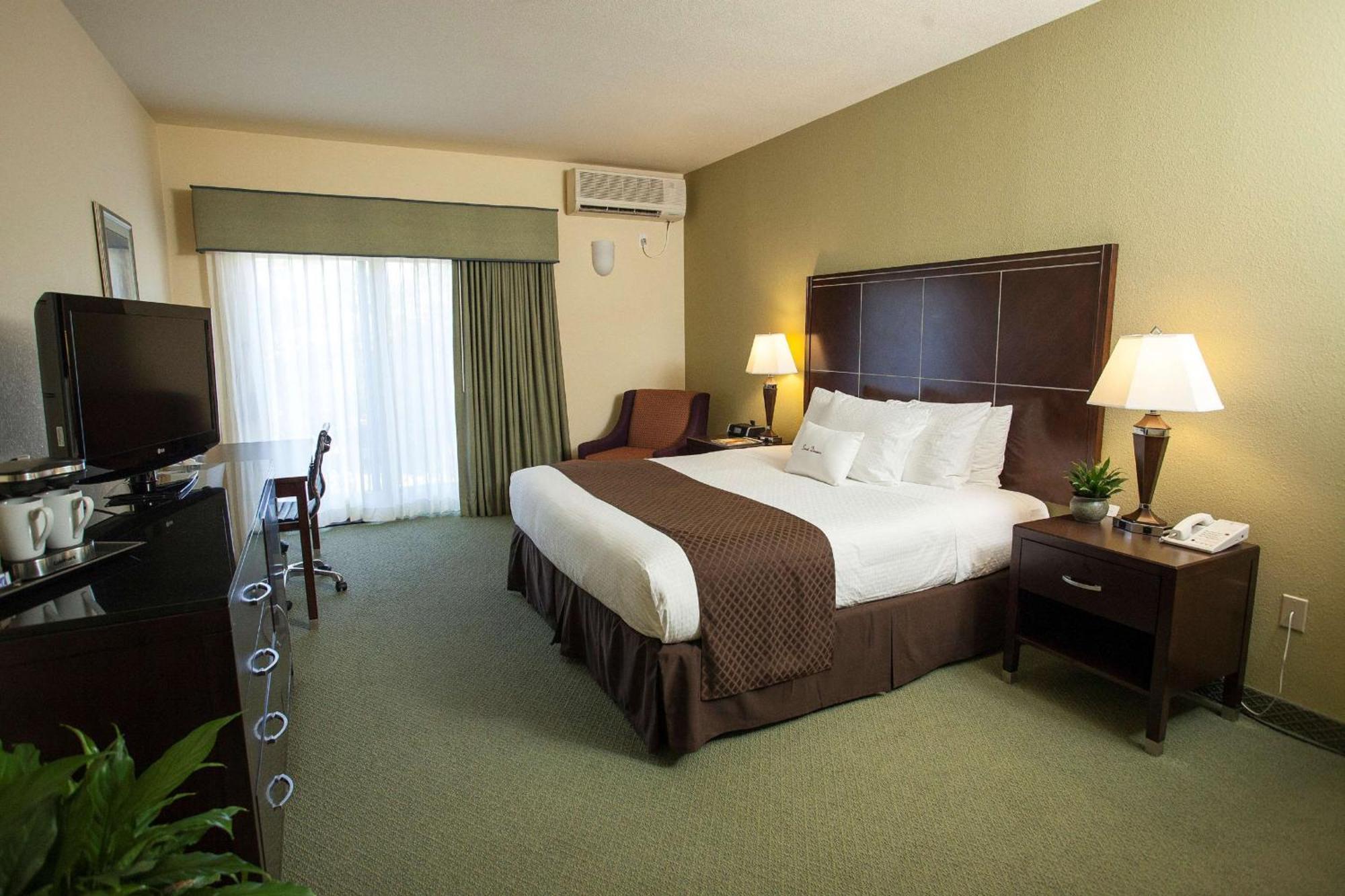 Chambre Lit King-Size avec Vue